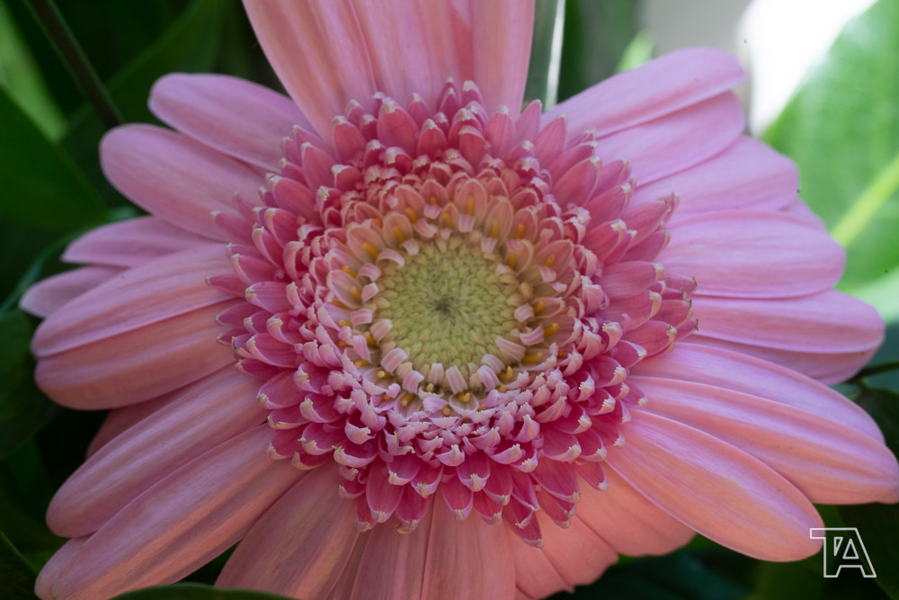 Nature-02